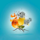 XERJOFF V Collection Erba Pura Eau de Parfum 100ml