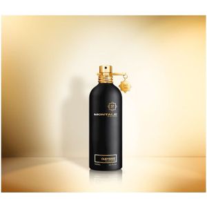 MONTALE Oudyssee Eau De Parfum 100ml