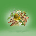 Xerjoff Casamorati Fiero Eau De Parfum 100ml