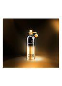MONTALE Spicy Aoud Eau De Parfum 100ml